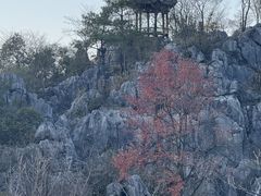 -千岛湖石林