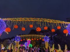 -南湖梦幻岛