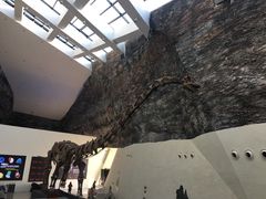 -中华赏石园