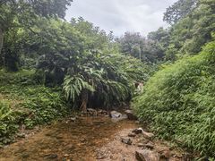 -田心森林公园