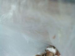 -德州小高糖炒栗子(十三局店)