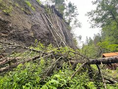 -峡谷浮石林景区