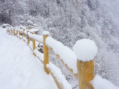 -青峰峡国家森林公园