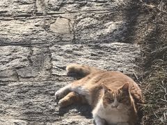 -北京凤凰岭