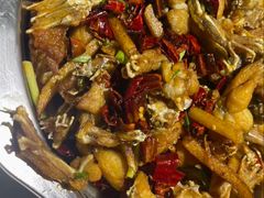 馋嘴牛蛙-馋嘴蛙火锅