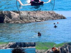 -广东惠东海龟国家级自然保护区