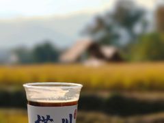 -塔川景区