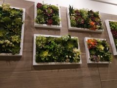 -香满楼(南关店)