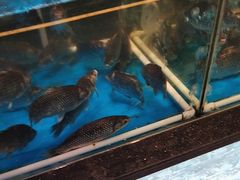 -营信刘罗锅铁锅炖(建华店)