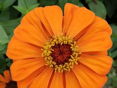 -桤木河湿地公园