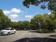 -安飞驰驾校·学车连锁(金高店)