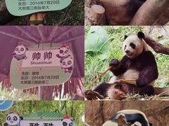 -广州长隆野生动物世界