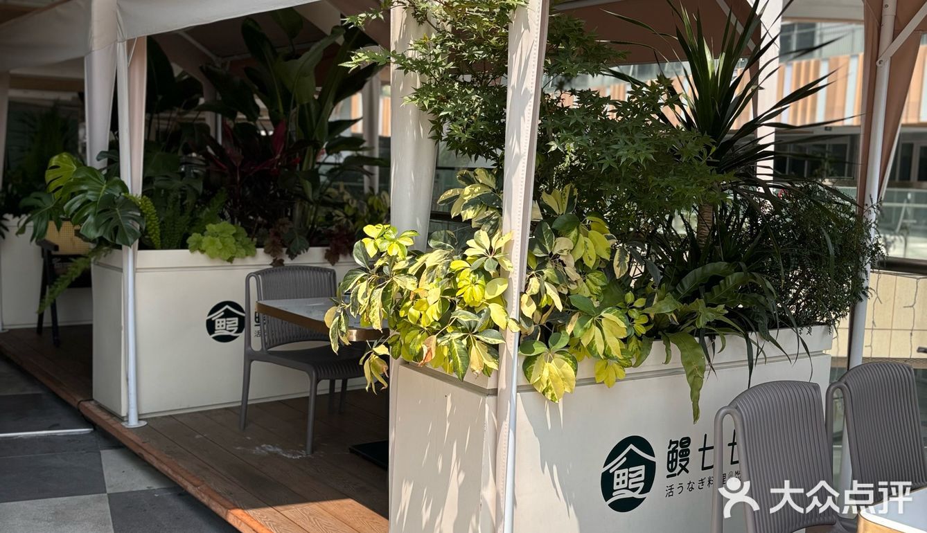 减脂期吃自助餐也不会亏店