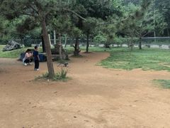 -秦皇岛野生动物园