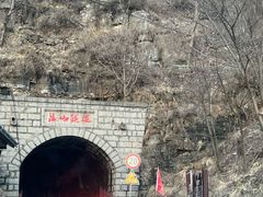 -王莽岭风景区