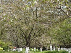 -南京工程学院(江宁校区)