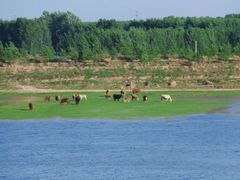 -鄱阳湖国家湿地公园