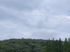 -上海佘山国家森林公园东门地面停车场