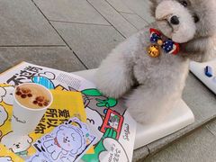 -Seesaw Coffee(上生新所店)