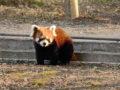 -苏州太湖西山岛开心农场