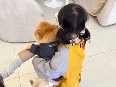 -怪兽屋·羊驼·猫咖·狗咖(俊华广场店)