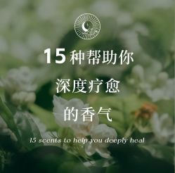 -东英经典SKIN&SPA