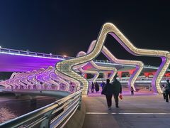 -演武大桥观景平台