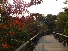 景点-西湖风景区-江洋畈生态公园