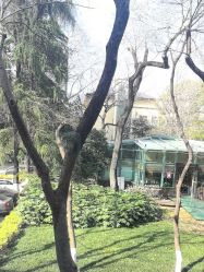 -南京医科大学友谊整形外科医院