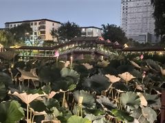 -西海子公园