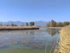 -野鸭湖国家湿地公园