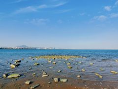 -海堤纪念公园