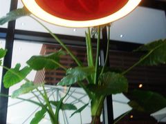-COSTA COFFEE(吴江路店)