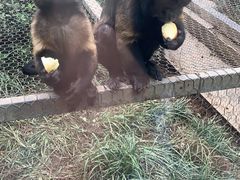 -石家庄市动物园