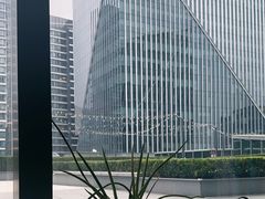 -凤凰湘语(浦东旗舰店)
