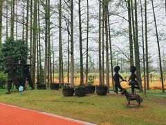 -上海长兴岛郊野公园