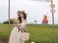 -杭州湾海上花田景区