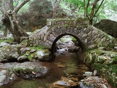 -白云源风景区