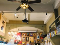 -猫咪博物馆(顶澳仔猫街店)