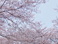 -熙盛源(滨湖万达店)