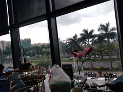 -法兰度航空主题餐厅(台山昌大昌店)