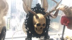 -Black Tattoo Studio