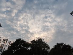 -吉祥馄饨(乐桥地铁站店)