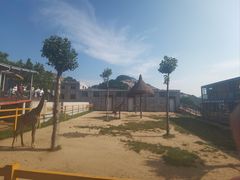 -西霞口神雕山野生动物世界