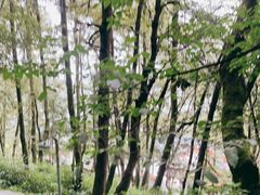 -苍山感通索道