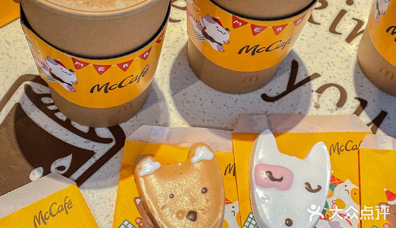 🧸成都的冬天｜萌宠蛋白霜竟然如此可爱 