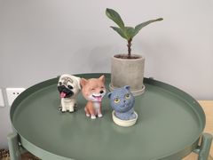 -嘉美宠物医院