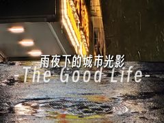 -荔湾湖公园