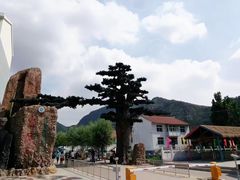 -山叶口景区