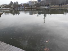 -雁滩公园